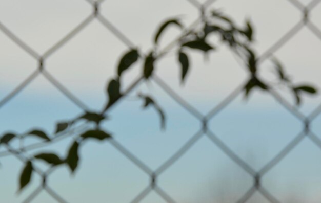 Close-up of barbed wire fence against sky