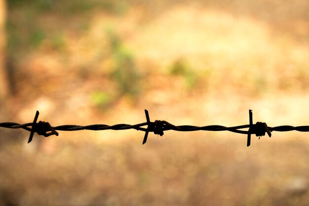Foto close-up di una recinzione di filo spinato contro il cielo