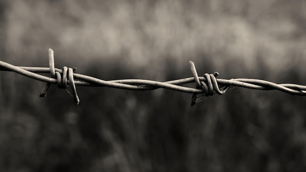 Photo close-up of barbed wire fence