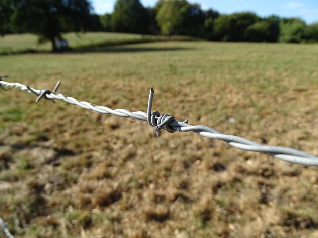 Foto close-up di filo spinato sul campo contro il cielo