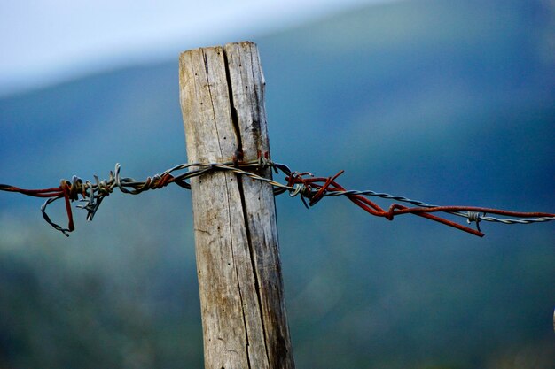 Close-up of barbed wire on wooden post