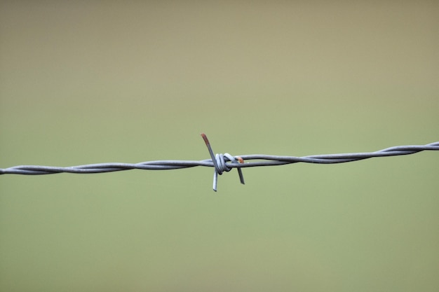 Foto prossimo piano del filo spinato