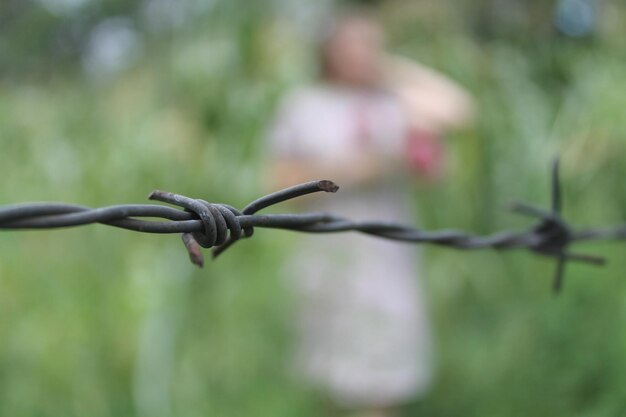 Close-up of barbed wire