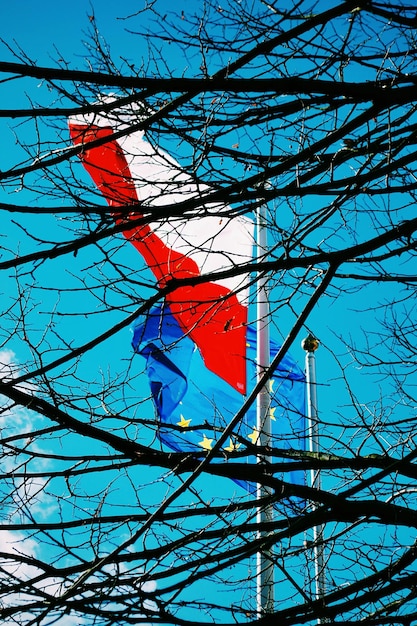 Photo close-up of bare branches with flags in background