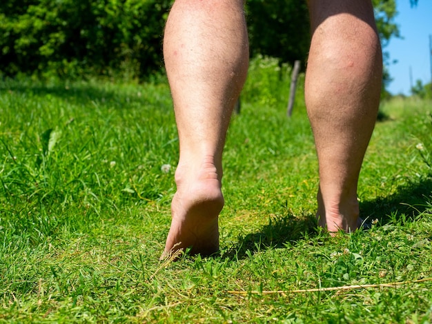여름에 마을의 풀밭을 걷고 있는 맨발의 수컷의 클로즈업.