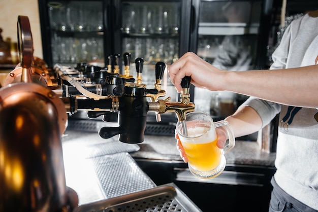 Close-up of the bartender filling a mug of light beer. The bar counter in the pub.