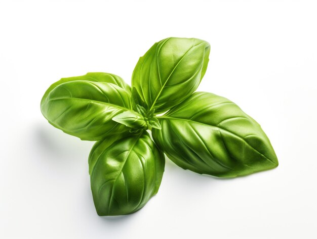 A close up of a basil leaf