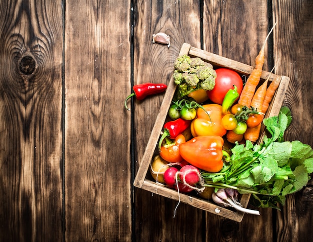 Close up on basket and fresh vegetables