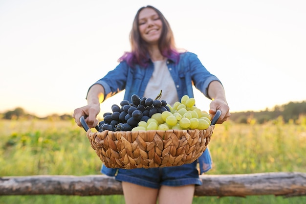 若い女性の手に緑と青のブドウ、美しい素朴な夕日の風景の背景のクローズアップバスケット。収穫、秋、ブドウ栽培、ガーデニング、趣味、レジャーのコンセプト