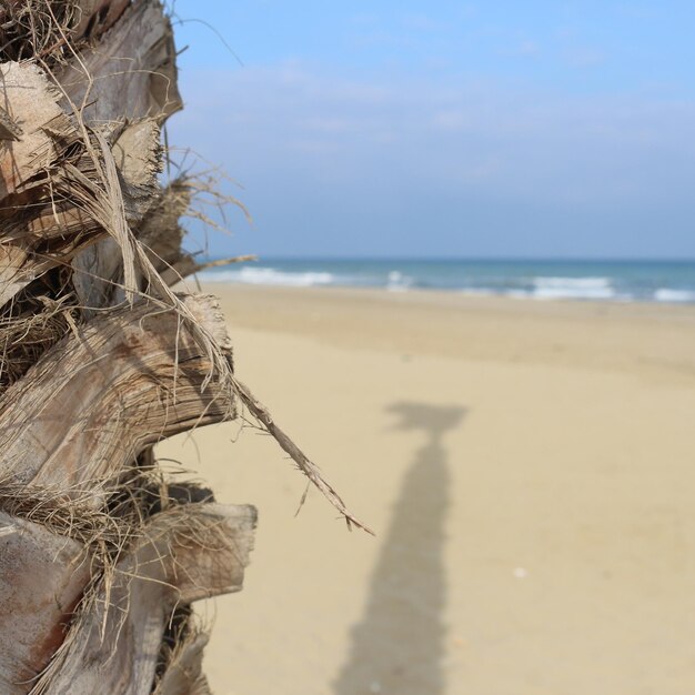 Foto prossimo piano della spiaggia contro il cielo