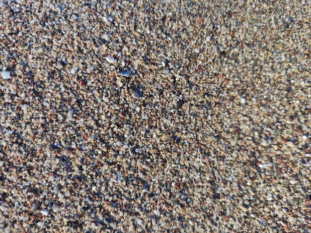 Photo a close up of a beach with a lot of sand and pebbles.