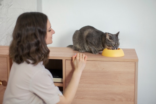 飼い主と一緒に美しい猫のクローズアップ