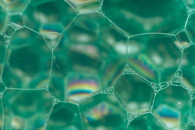 Close up Beautiful green abstract soap bubbles Background pattern for design Macro photography vie