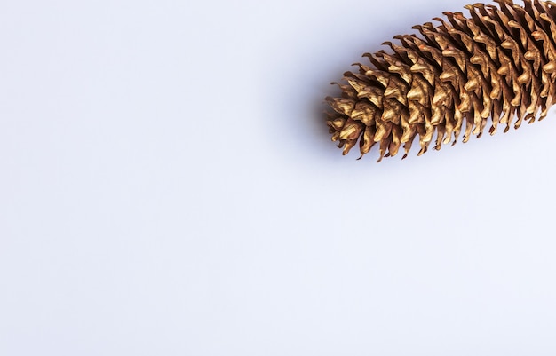 Close up on beautiful pine cone isolated