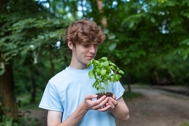 Close-up beeld van een man met zaailing mannelijke tuinman handen met een jonge boom in kas