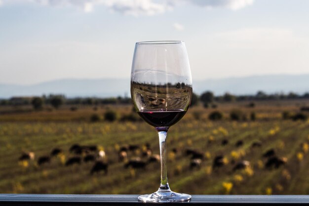 Photo close-up of beer glass against landscape against sky