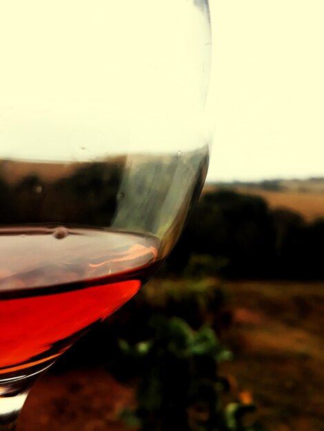 Close-up of beer glass against sunset