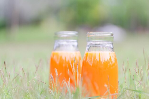 Close-up of beer glass on field