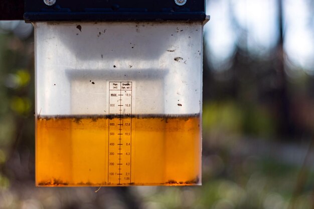 Close-up of beer glass