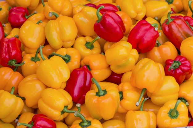 Close up Bell pepper