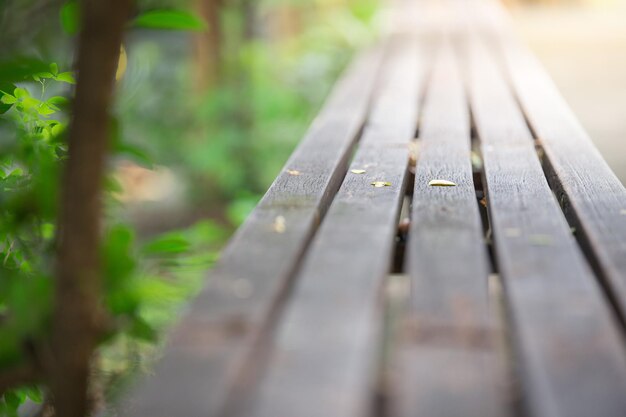 Photo close-up of bench in park