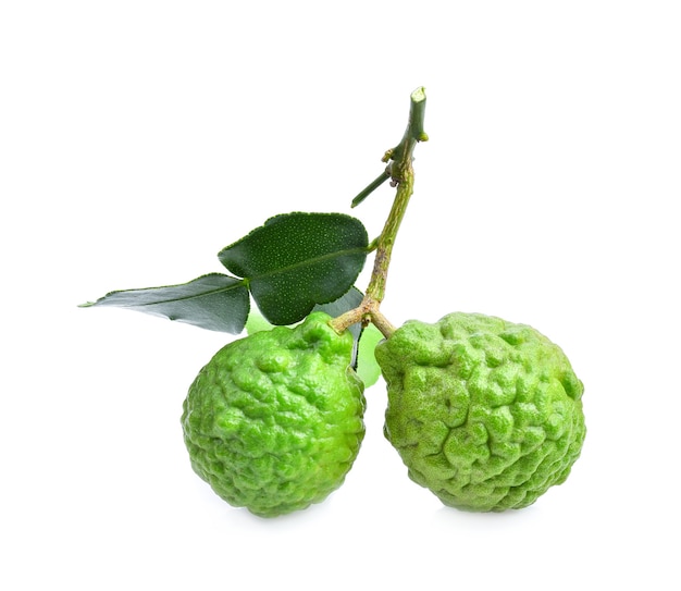 Close-up of the bergamot fruit