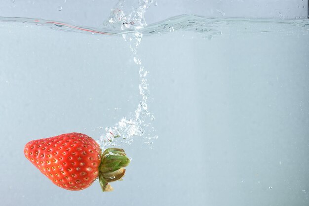 Close-up of berries on water against white background