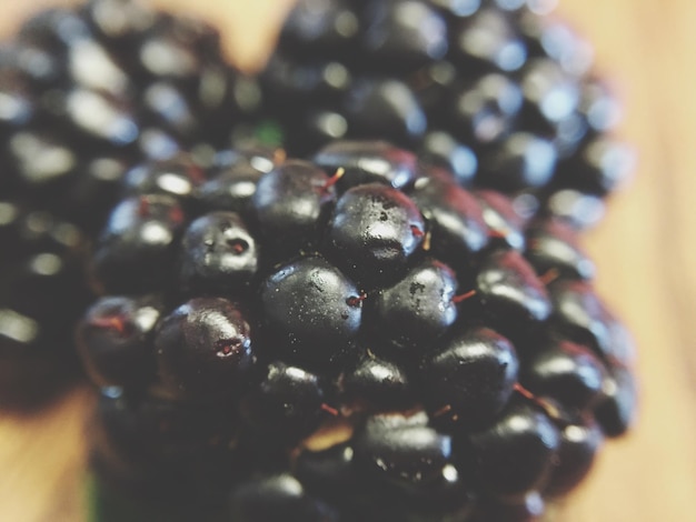 Photo close-up of berries
