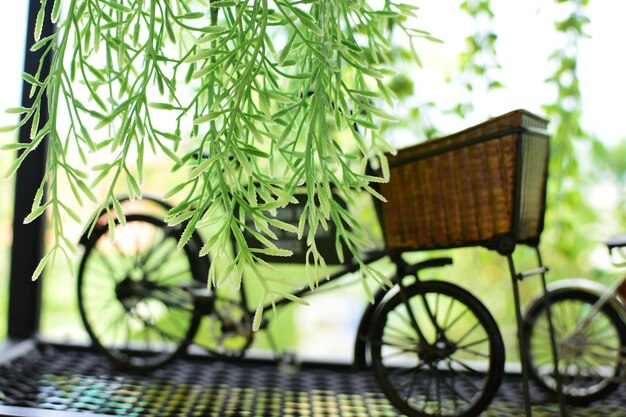 Close-up of bicycle in basket