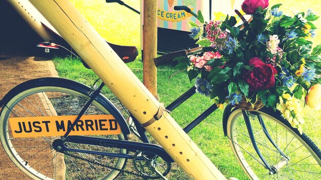 Foto close-up di una bicicletta su un fiore