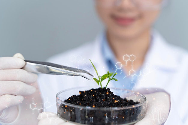 Photo close up of biologist hands with protective gloves holding young plant with roots over petri dish with microscopic soil in biotechnology