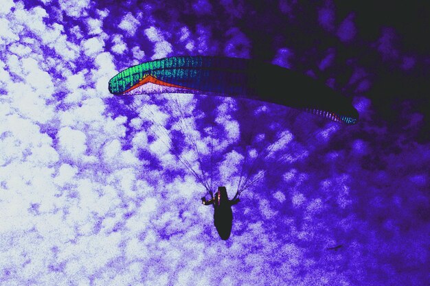 Foto prossimo piano di un uccello contro il cielo blu