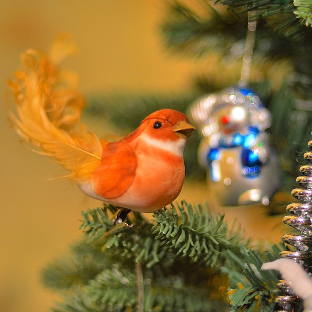 Foto close-up di un uccello sull'albero di natale