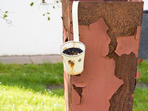 Close-up of bird feeder on rusty metal in back yard