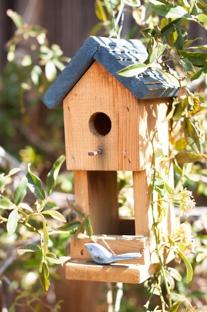 Close up of bird house in garden