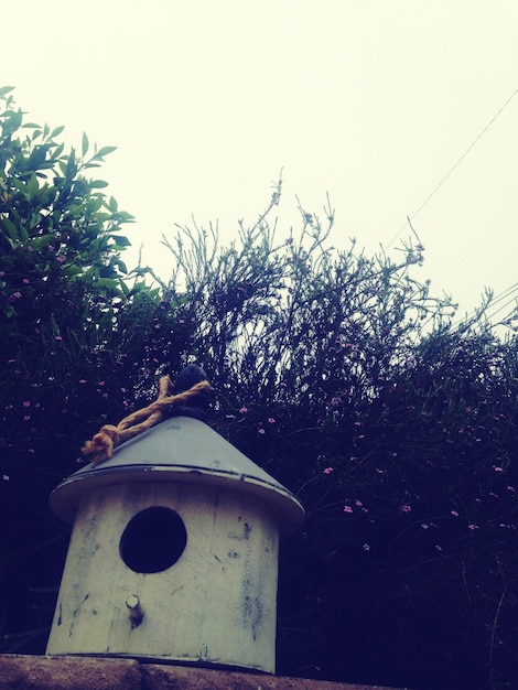 Foto prossimo piano della casa degli uccelli