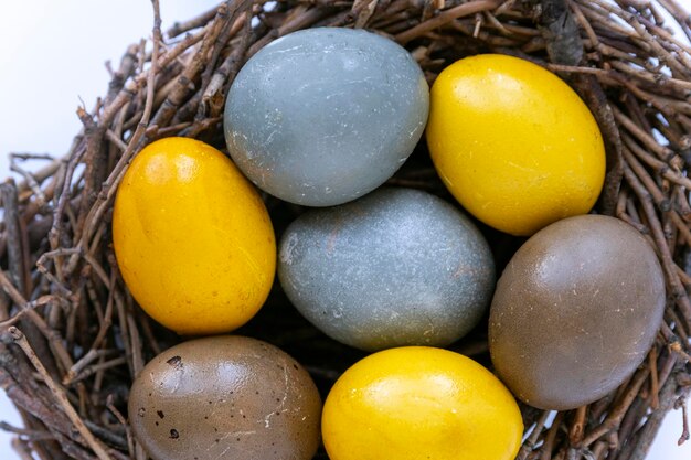 Close up bird nest with colorful Easter eggs Happy Easter concept Top view