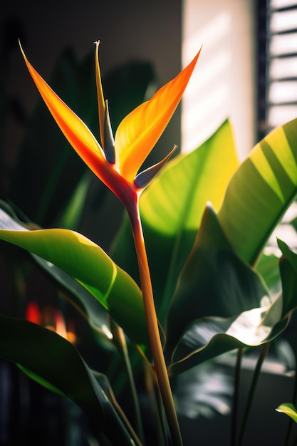 Close up of bird of paradise plant and flower by window created using generative ai technology