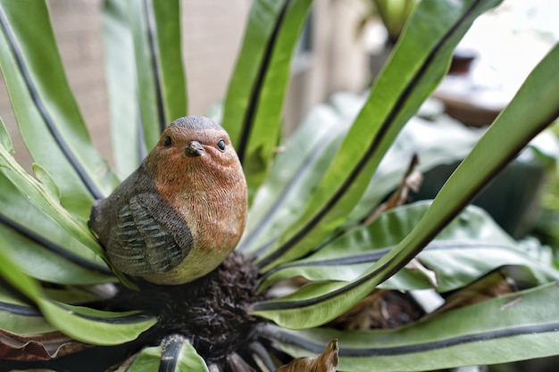 Foto prossimo piano di un uccello appoggiato su una pianta
