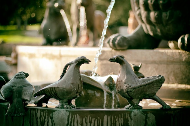 Foto prossimo piano della fontana di sculture di uccelli