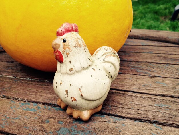 Close-up of bird on table