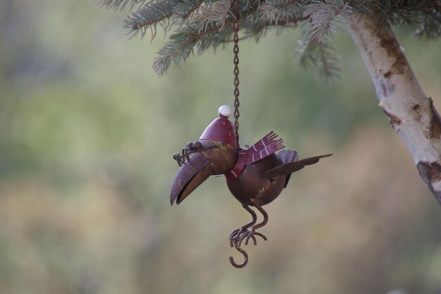 Foto close-up di un uccello sull'albero