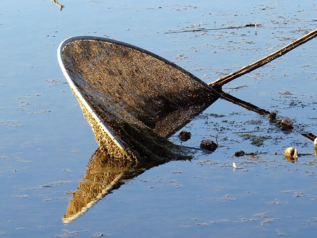 Foto prossimo piano di un uccello sull'acqua