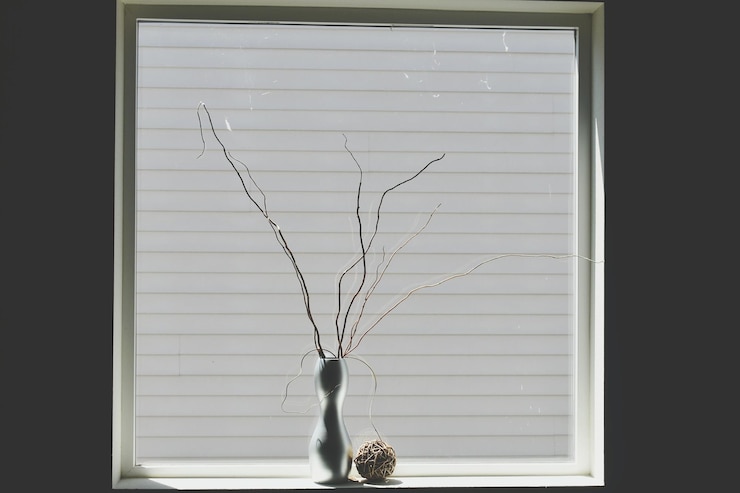 Photo close-up of bird on window at home