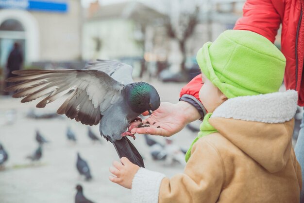 Photo close-up of bird