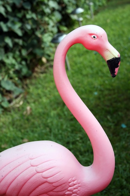 Close-up of a bird