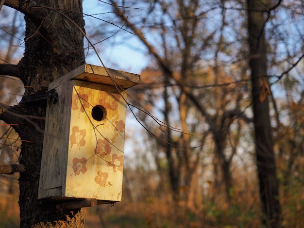 Close up Birdhouse hanging on a tree in the autumn forest background