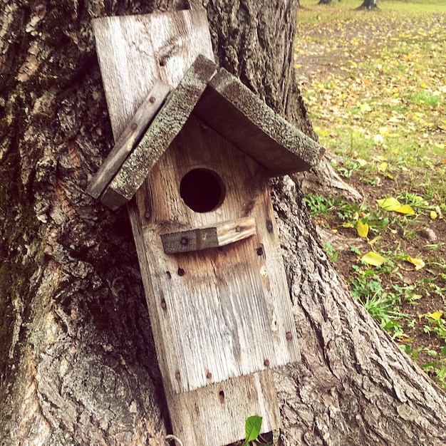 Photo close-up of birdhouse on tree trunk