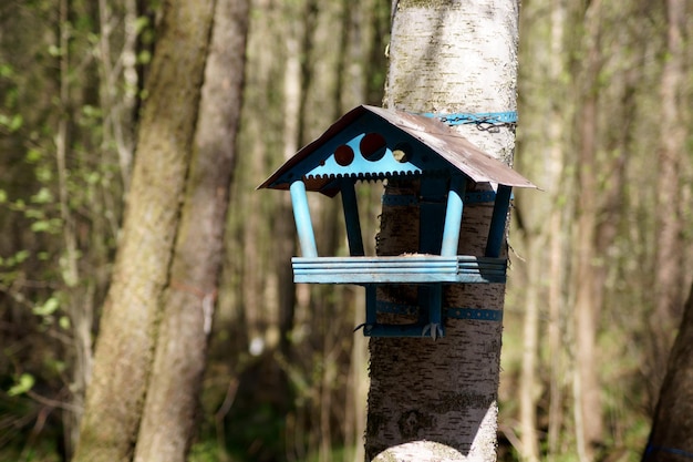 Close-up of birdhouse on wooden post in forest