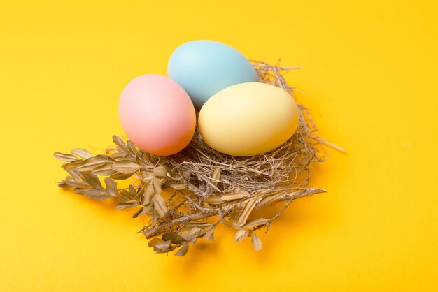 Close up birds nest easter eggs on yellow